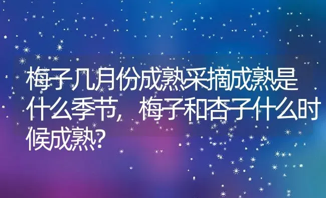 梅子几月份成熟采摘成熟是什么季节,梅子和杏子什么时候成熟？ | 养殖科普