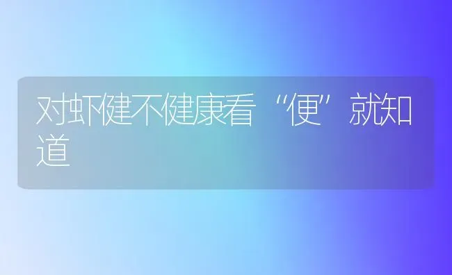 对虾健不健康看“便”就知道 | 养殖技术大全