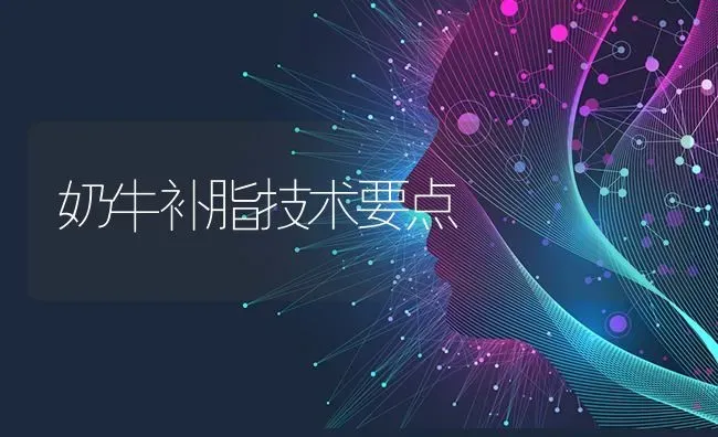 奶牛补脂技术要点 | 养殖技术大全