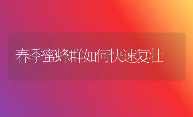 春季蜜蜂群如何快速复壮 | 养殖知识