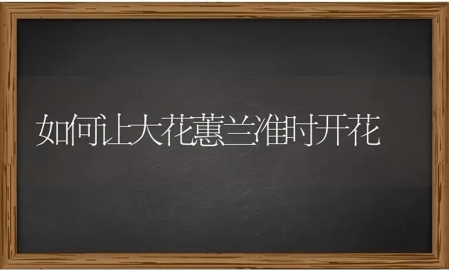 牛感冒是什么原因 | 养殖技术大全