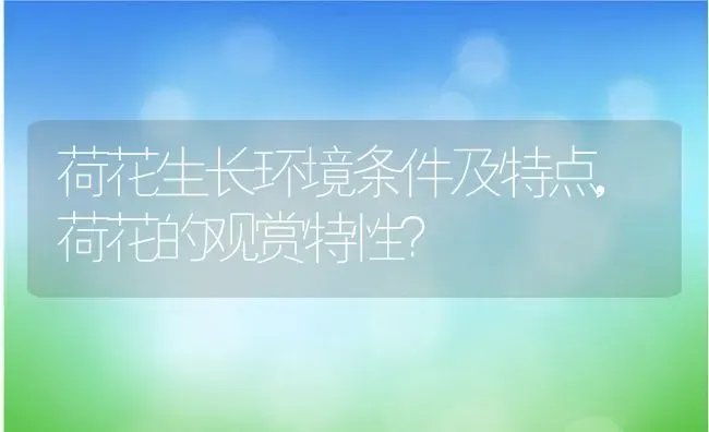 荷花生长环境条件及特点,荷花的观赏特性？ | 养殖科普