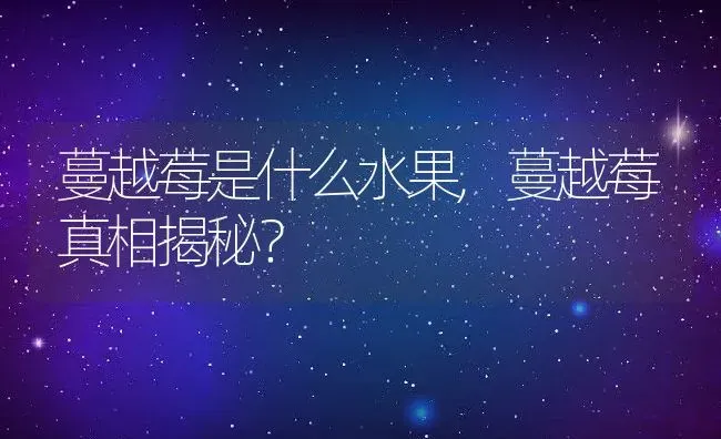 蔓越莓是什么水果,蔓越莓真相揭秘？ | 养殖科普
