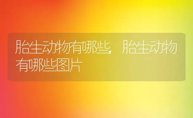 胎生动物有哪些,胎生动物有哪些图片 | 养殖资料