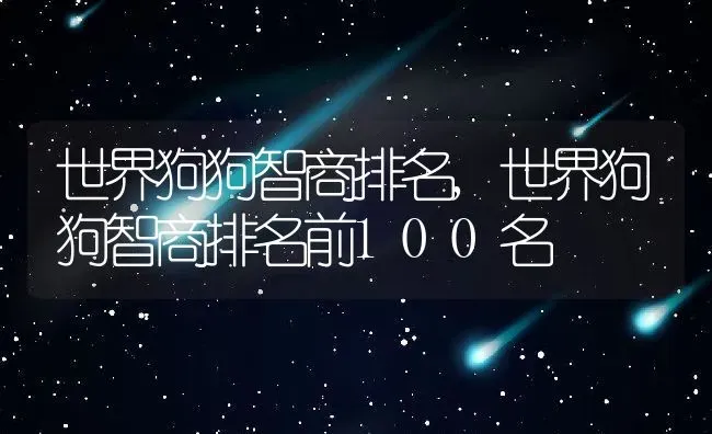 世界狗狗智商排名,世界狗狗智商排名前100名 | 养殖资料