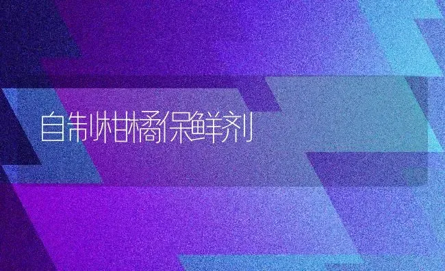 自制柑橘保鲜剂 | 养殖知识