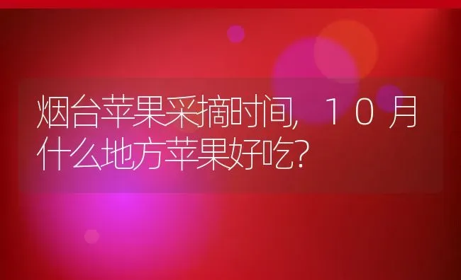 烟台苹果采摘时间,10月什么地方苹果好吃？ | 养殖科普