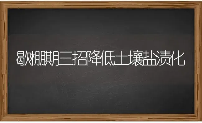 歇棚期三招降低土壤盐渍化 | 养殖技术大全