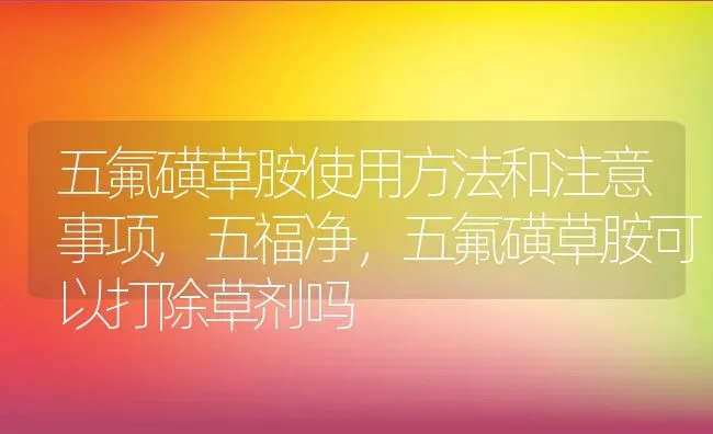 五氟磺草胺使用方法和注意事项,五福净，五氟磺草胺可以打除草剂吗 | 养殖学堂