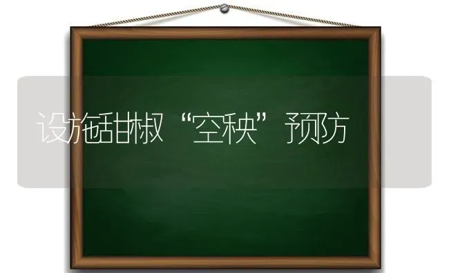 设施甜椒“空秧”预防 | 养殖知识