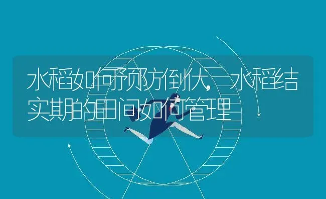 绿萝扦插快速生根方法有哪些,绿萝怎样插枝成活率高 | 养殖学堂