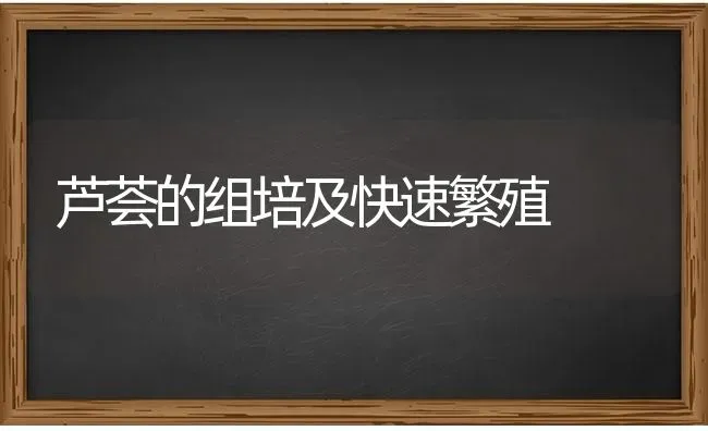 芦荟的组培及快速繁殖 | 养殖知识