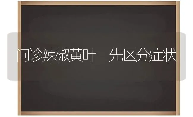 问诊辣椒黄叶 先区分症状 | 养殖技术大全