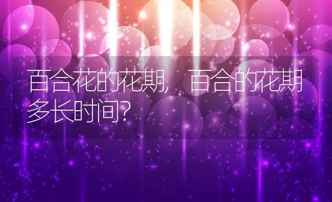 百合花的花期,百合的花期多长时间？ | 养殖科普