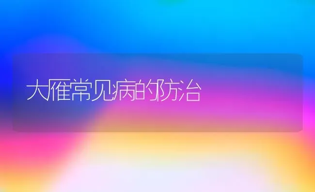 大雁常见病的防治 | 养殖知识