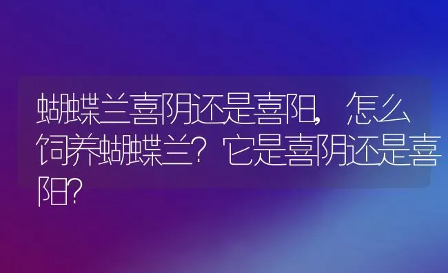 蝴蝶兰喜阴还是喜阳,怎么饲养蝴蝶兰？它是喜阴还是喜阳？ | 养殖科普