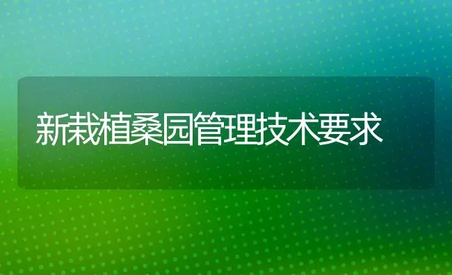 新栽植桑园管理技术要求 | 养殖知识