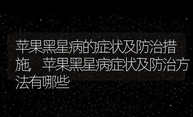 苹果黑星病的症状及防治措施,苹果黑星病症状及防治方法有哪些 | 养殖学堂