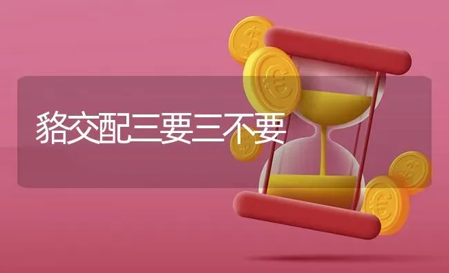 貉交配三要三不要 | 养殖知识