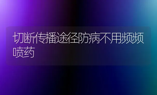 切断传播途径防病不用频频喷药 | 养殖技术大全