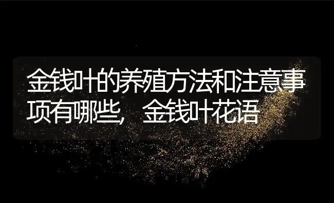 金钱叶的养殖方法和注意事项有哪些,金钱叶花语 | 养殖学堂