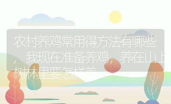 农村养鸡常用得方法有哪些,我现在准备养鸡，养在山上树林里要怎样养 | 养殖学堂