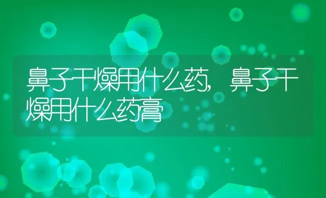 鼻子干燥用什么药,鼻子干燥用什么药膏 | 养殖资料