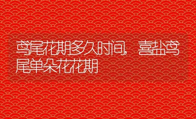 鸢尾花期多久时间,喜盐鸢尾单朵花花期 | 养殖学堂