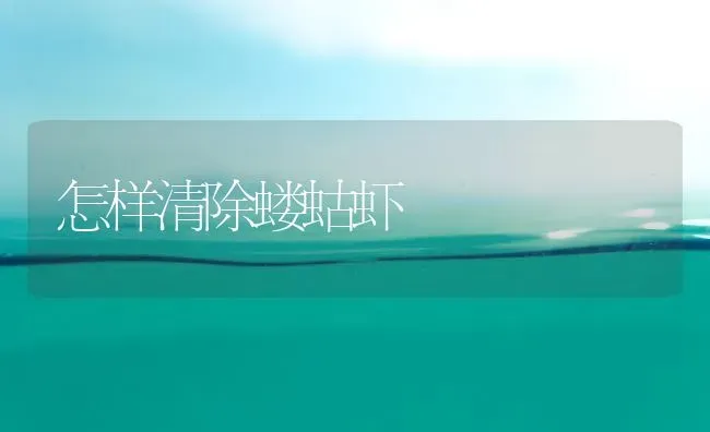 怎样清除蝼蛄虾 | 养殖技术大全