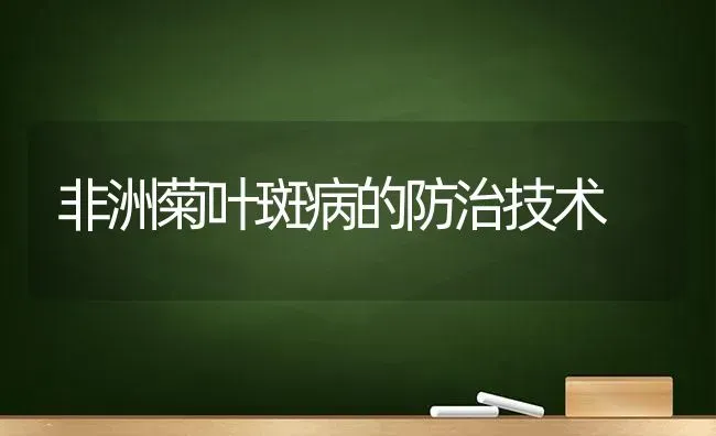 非洲菊叶斑病的防治技术 | 养殖技术大全