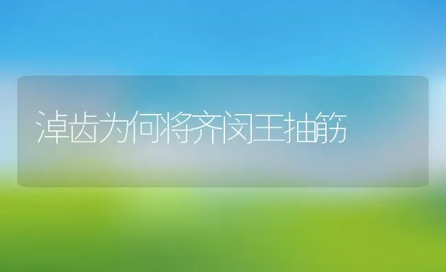 淖齿为何将齐闵王抽筋 | 养殖学堂