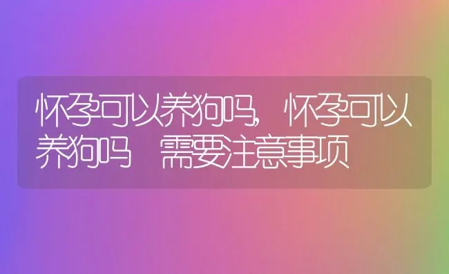 怀孕可以养狗吗,怀孕可以养狗吗 需要注意事项 | 养殖资料