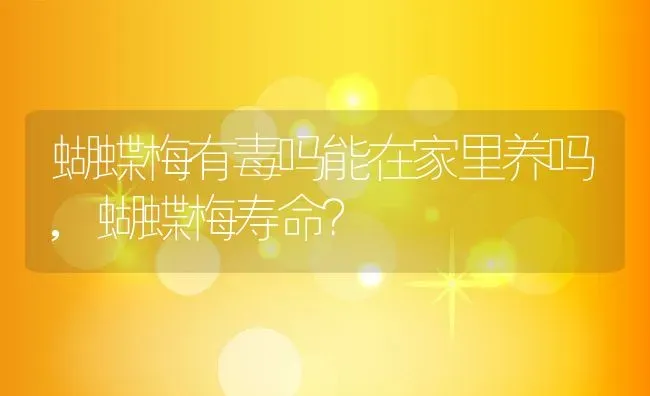 蝴蝶梅有毒吗能在家里养吗,蝴蝶梅寿命？ | 养殖科普