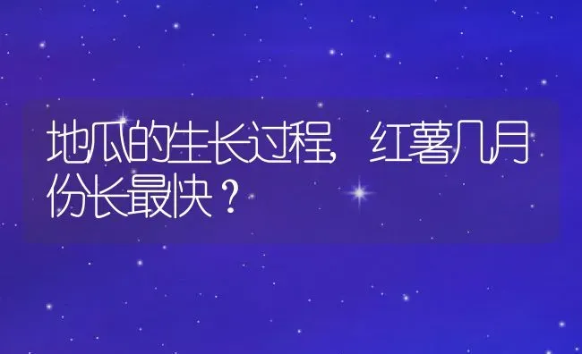 地瓜的生长过程,红薯几月份长最快？ | 养殖科普