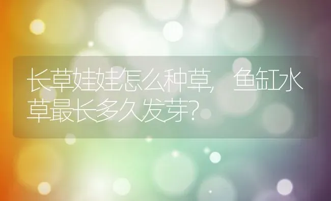 长草娃娃怎么种草,鱼缸水草最长多久发芽？ | 养殖科普