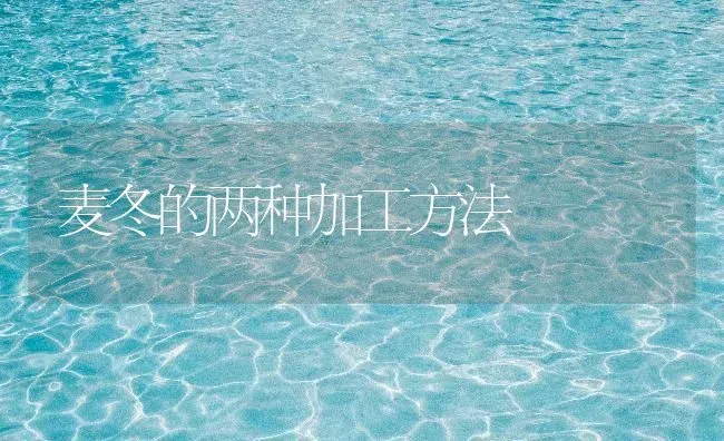 麦冬的两种加工方法 | 养殖技术大全