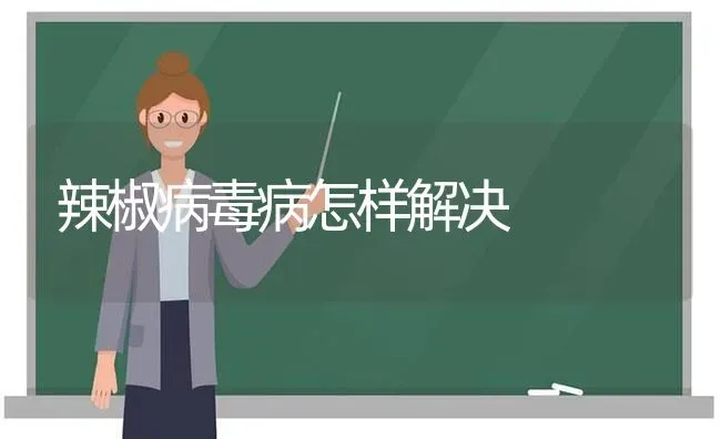 辣椒病毒病怎样解决 | 养殖技术大全