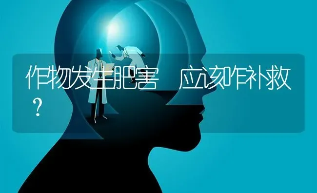 作物发生肥害 应该咋补救? | 养殖技术大全