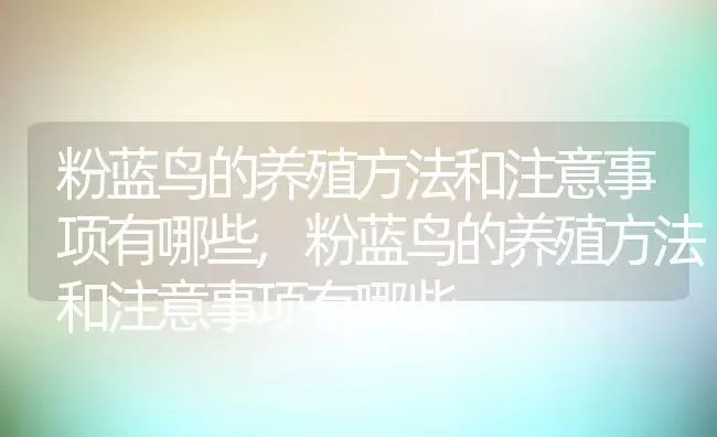 粉蓝鸟的养殖方法和注意事项有哪些,粉蓝鸟的养殖方法和注意事项有哪些 | 养殖科普