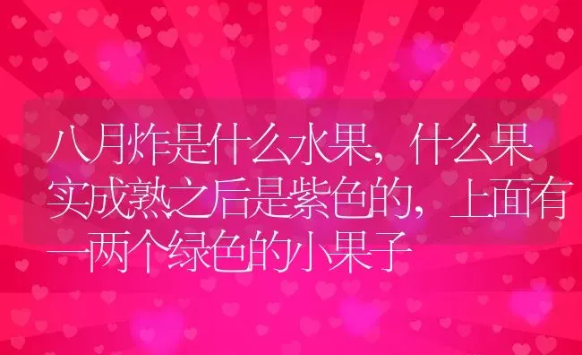 八月炸是什么水果,什么果实成熟之后是紫色的，上面有一两个绿色的小果子 | 养殖学堂