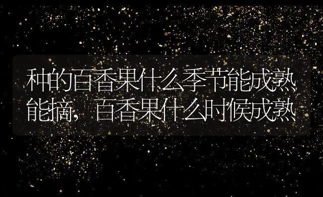 种的百香果什么季节能成熟能摘,百香果什么时候成熟 | 养殖学堂