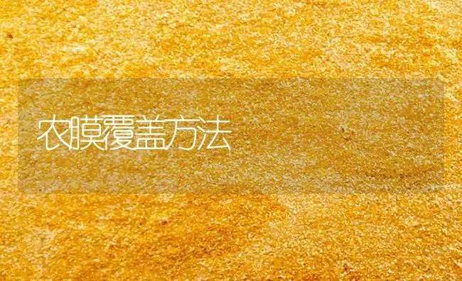 农膜覆盖方法 | 养殖技术大全