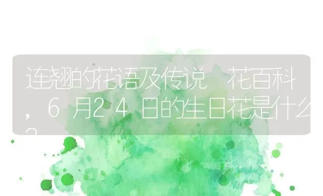 连翘的花语及传说–花百科,6月24日的生日花是什么？ | 养殖科普