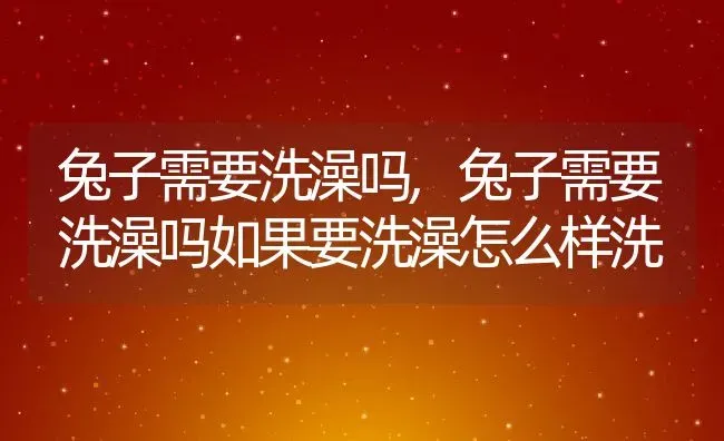 兔子需要洗澡吗,兔子需要洗澡吗如果要洗澡怎么样洗 | 养殖科普