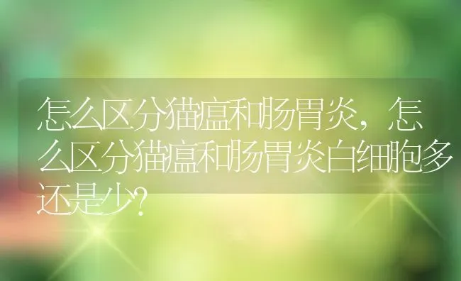 怎么区分猫瘟和肠胃炎,怎么区分猫瘟和肠胃炎白细胞多还是少? | 养殖资料