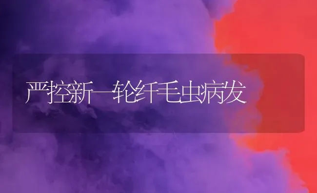 严控新一轮纤毛虫病发 | 养殖知识