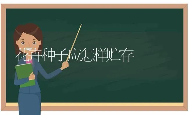花卉种子应怎样贮存 | 养殖技术大全