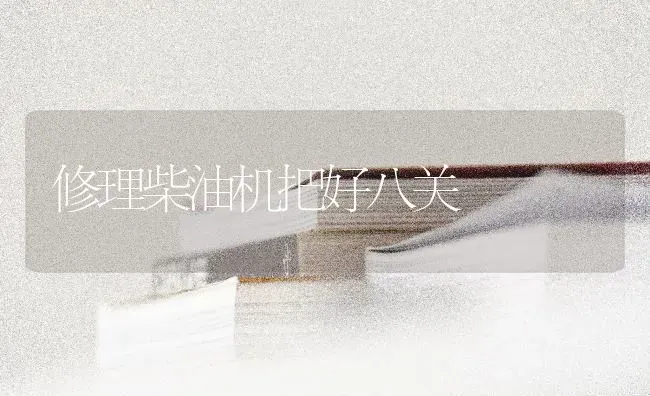 修理柴油机把好八关 | 养殖知识