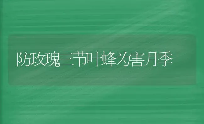 防玫瑰三节叶蜂为害月季 | 养殖技术大全