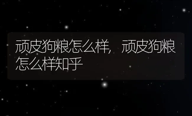 顽皮狗粮怎么样,顽皮狗粮怎么样知乎 | 养殖科普